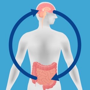 The human gut and brain are in direct communication with each other